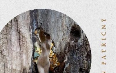Ještě – Jak se říká báseň – ještě
