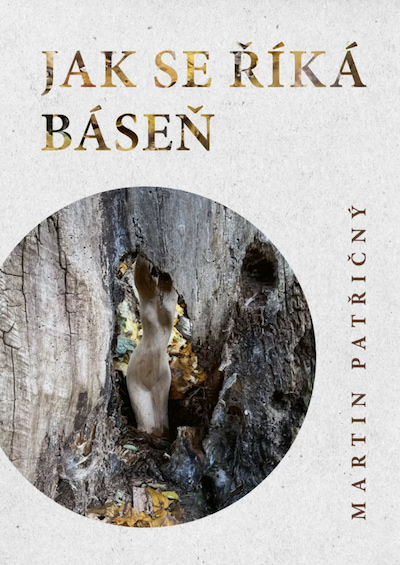 kniha-jak-se-rika-basen-patricny Kniha Jak se říká báseň