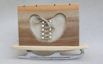 Kniha o krasobruslené